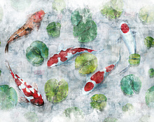 Factura FAUNA KOI 1